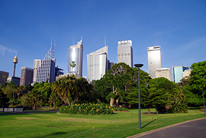 Wolkenkratzer ragen über den grünen Bäumen des Botanischen Gartens in Sydney hervor